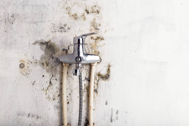 Best Commercial Mold Removal  in Craig Beach, OH